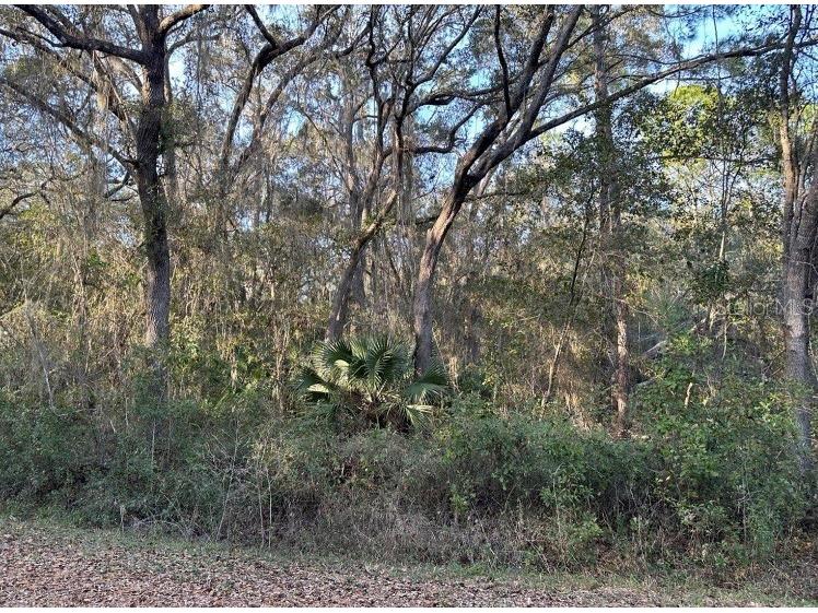 TBD Sequoia Drive Lane Ocklawaha FL 32179 OM655752 image1