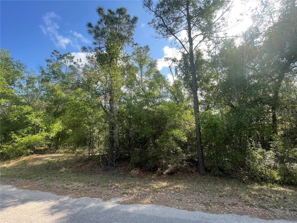 TBD Sequoia Drive #LOT 16 Ocklawaha FL 32179 OM700167 image1