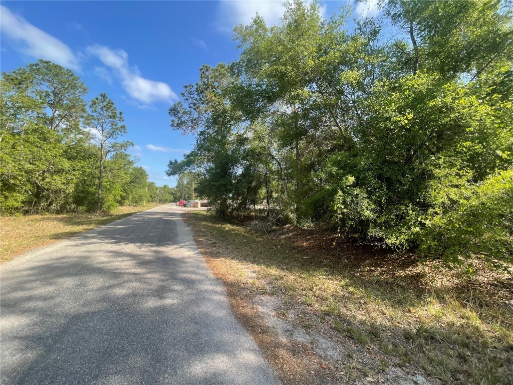 TBD Sequoia Drive #LOT 16 Ocklawaha FL 32179 OM700167 image2