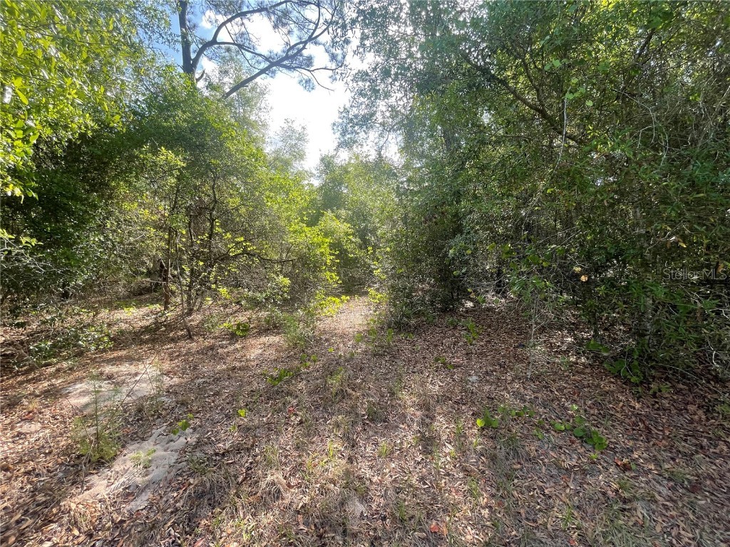 TBD Sequoia Drive #LOT 16 Ocklawaha FL 32179 OM700167 image3
