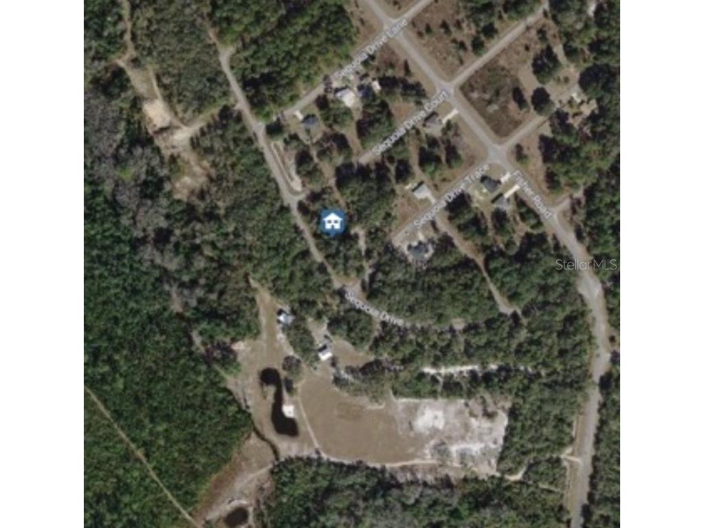 TBD Sequoia Drive #LOT 16 Ocklawaha FL 32179 OM700167 image4