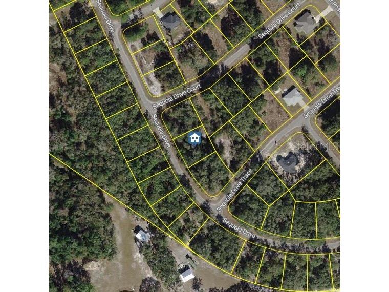 TBD Sequoia Drive #LOT 16 Ocklawaha FL 32179 OM700167 image5