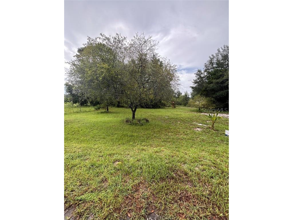 TBD Sequoia Drive Trace Ocklawaha FL 32179 G5100148 image1