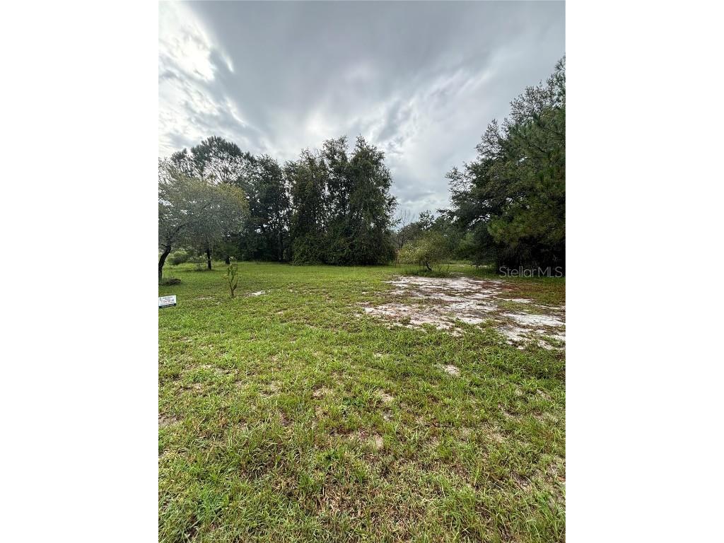 TBD Sequoia Drive Trace Ocklawaha FL 32179 G5100148 image2