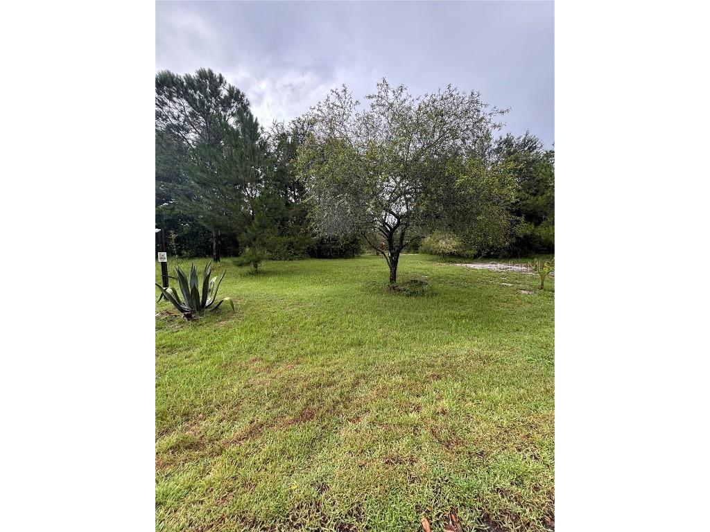 TBD Sequoia Drive Trace Ocklawaha FL 32179 G5100148 image3