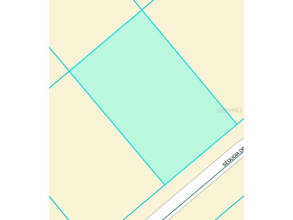 TBD Sequoia Drive Trace Ocklawaha FL 32179 G5100148 image4