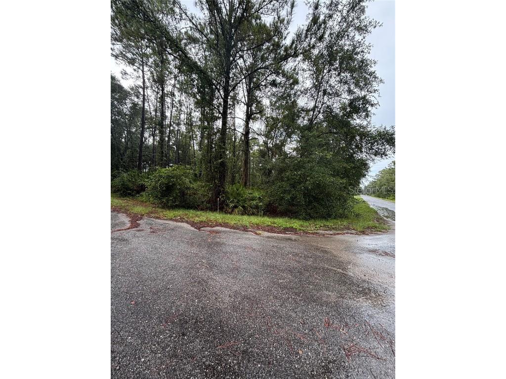 TBD Sequoia Drive Trail Ocklawaha FL 32179 G5100151 image1