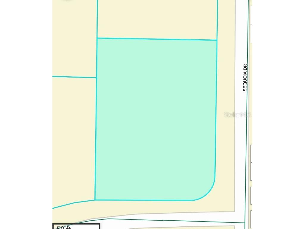 TBD Sequoia Drive Trail Ocklawaha FL 32179 G5100151 image2