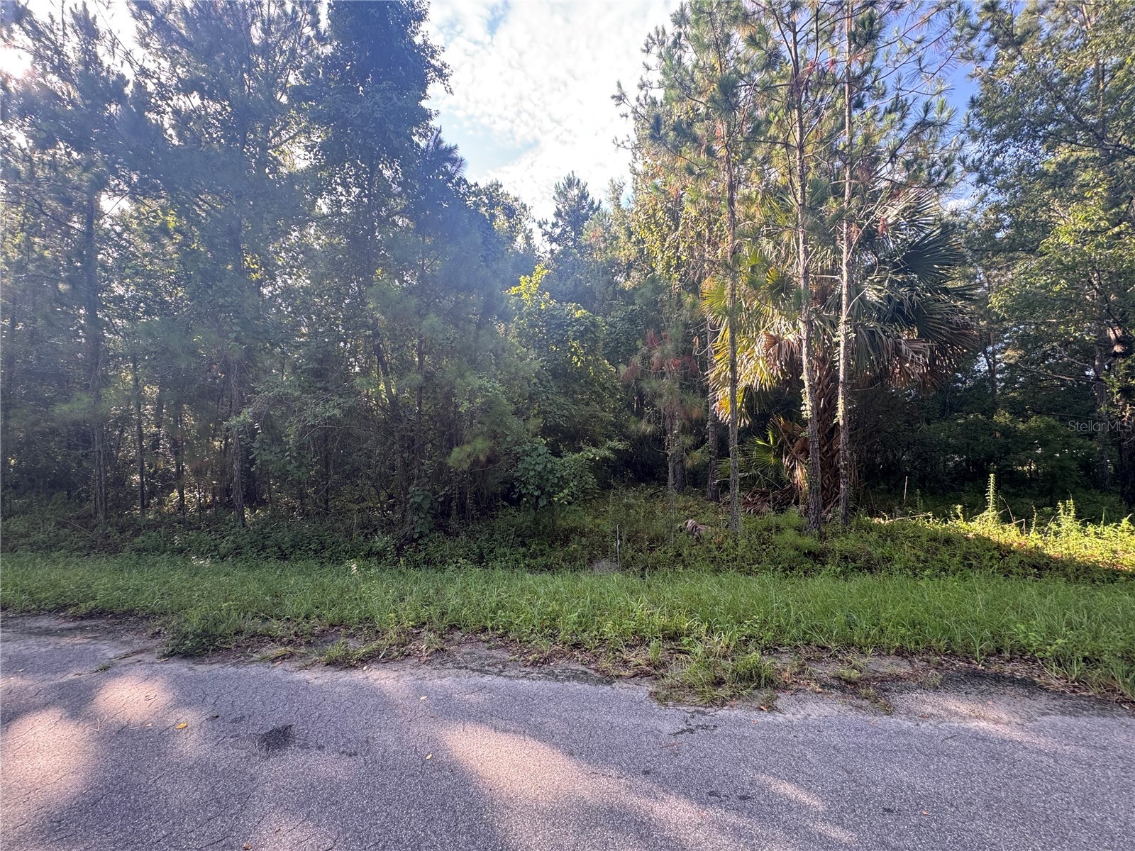 TBD Sequoia Loop Drive Ocklawaha FL 32179 OM728492 image3