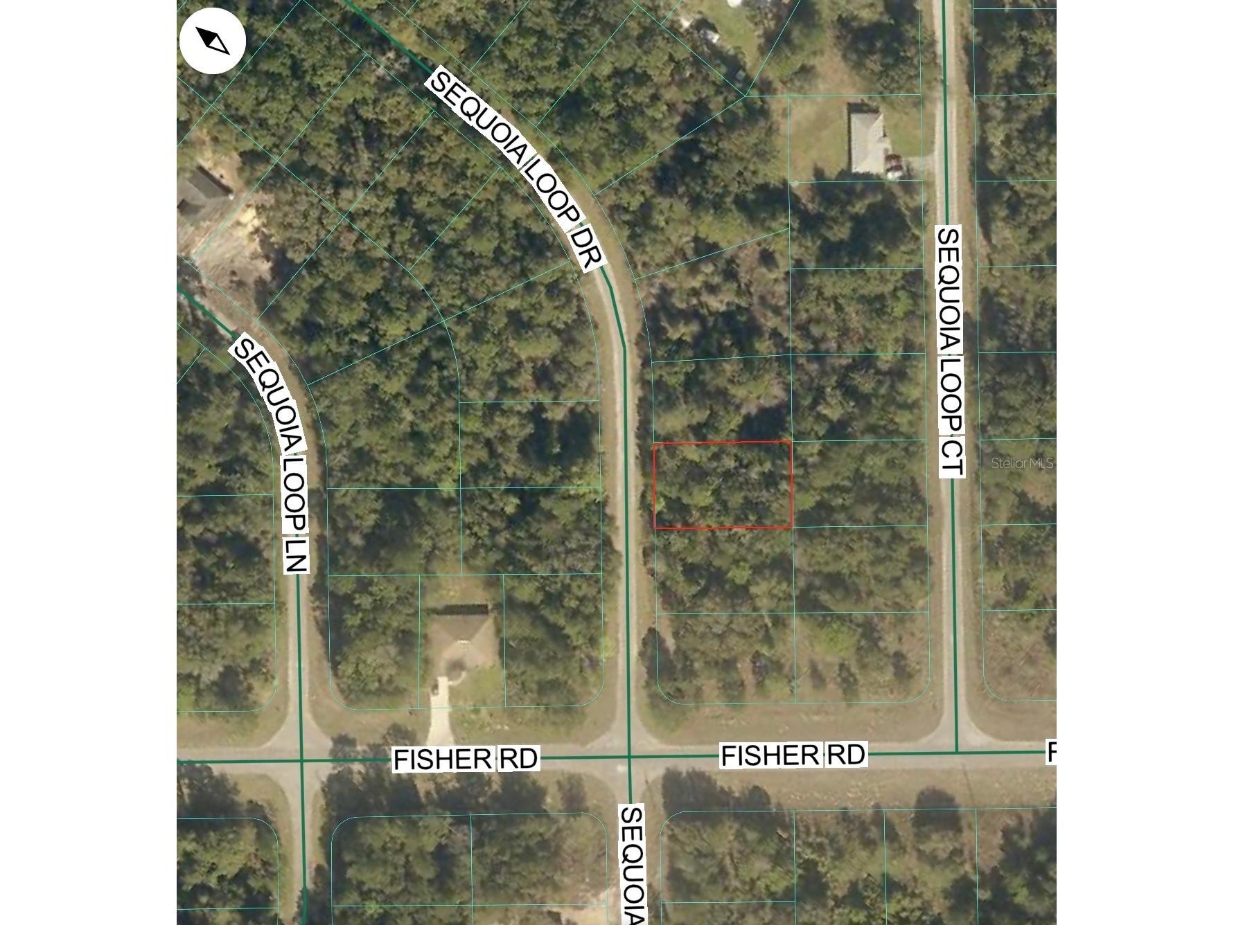 TBD Sequoia Loop Drive Ocklawaha FL 32179 OM728492 image5