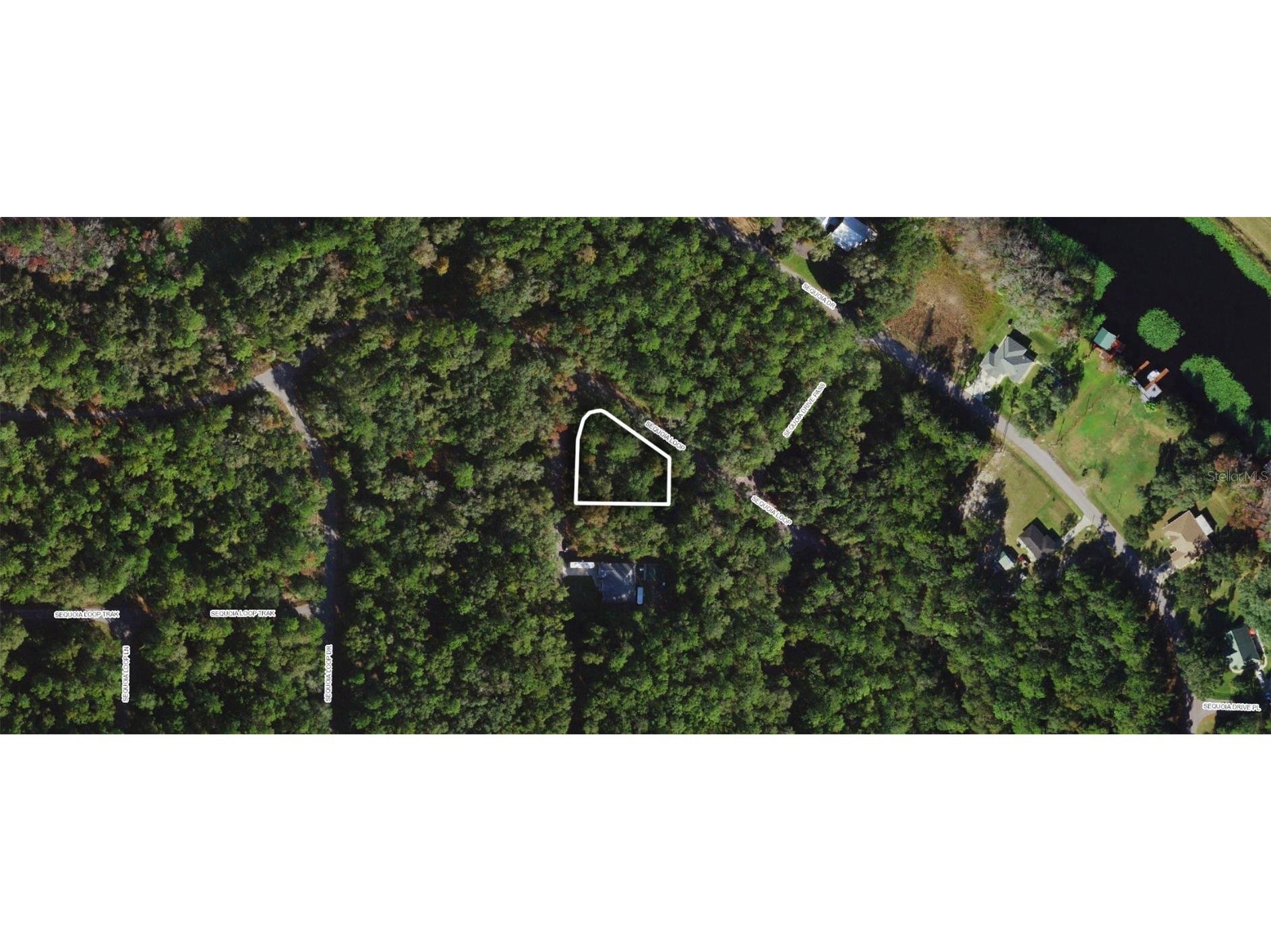 TBD Sequoia Loop Trace Ocklawaha FL 32179 OM643320 image1