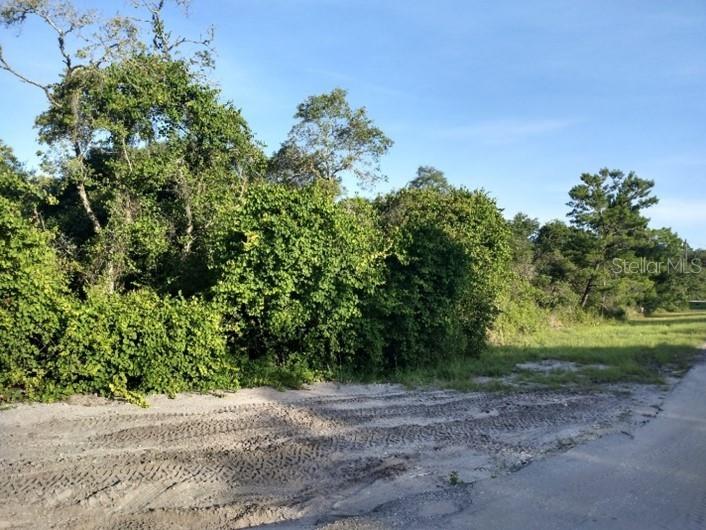 TBD Sequoia Trail Track Ocklawaha FL 32179 O6185451 image1