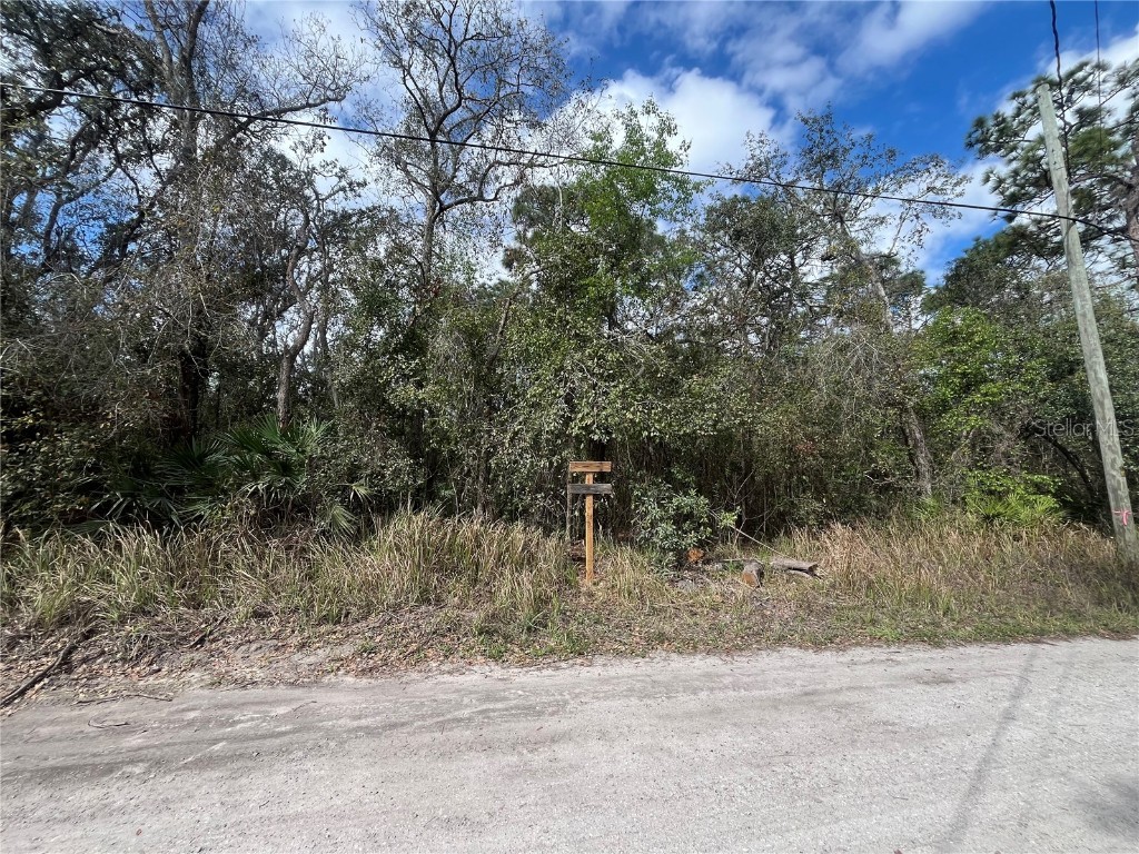 TBD Shalimar Street New Port Richey FL 34654 OK224946 image1