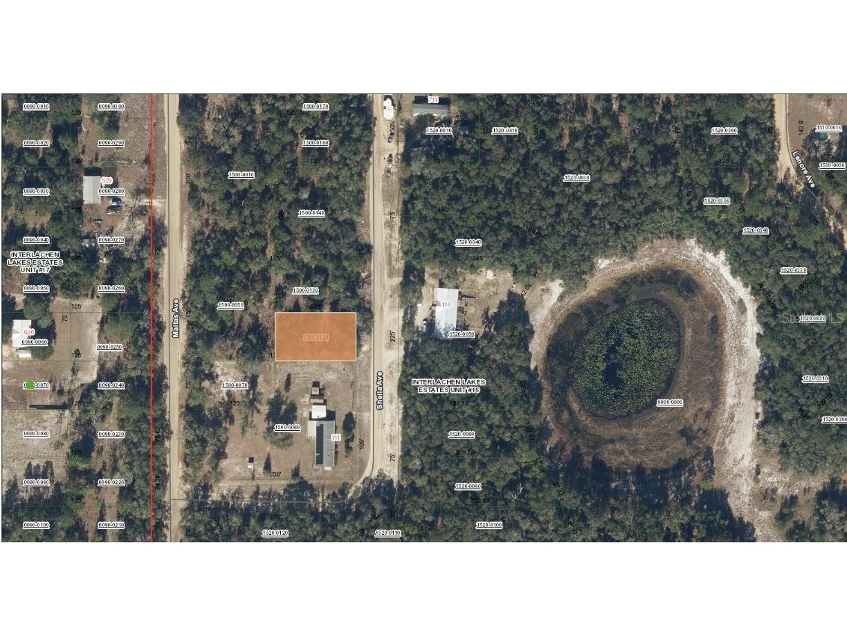 TBD Sheila Avenue Interlachen FL 32148 OM720674 image1