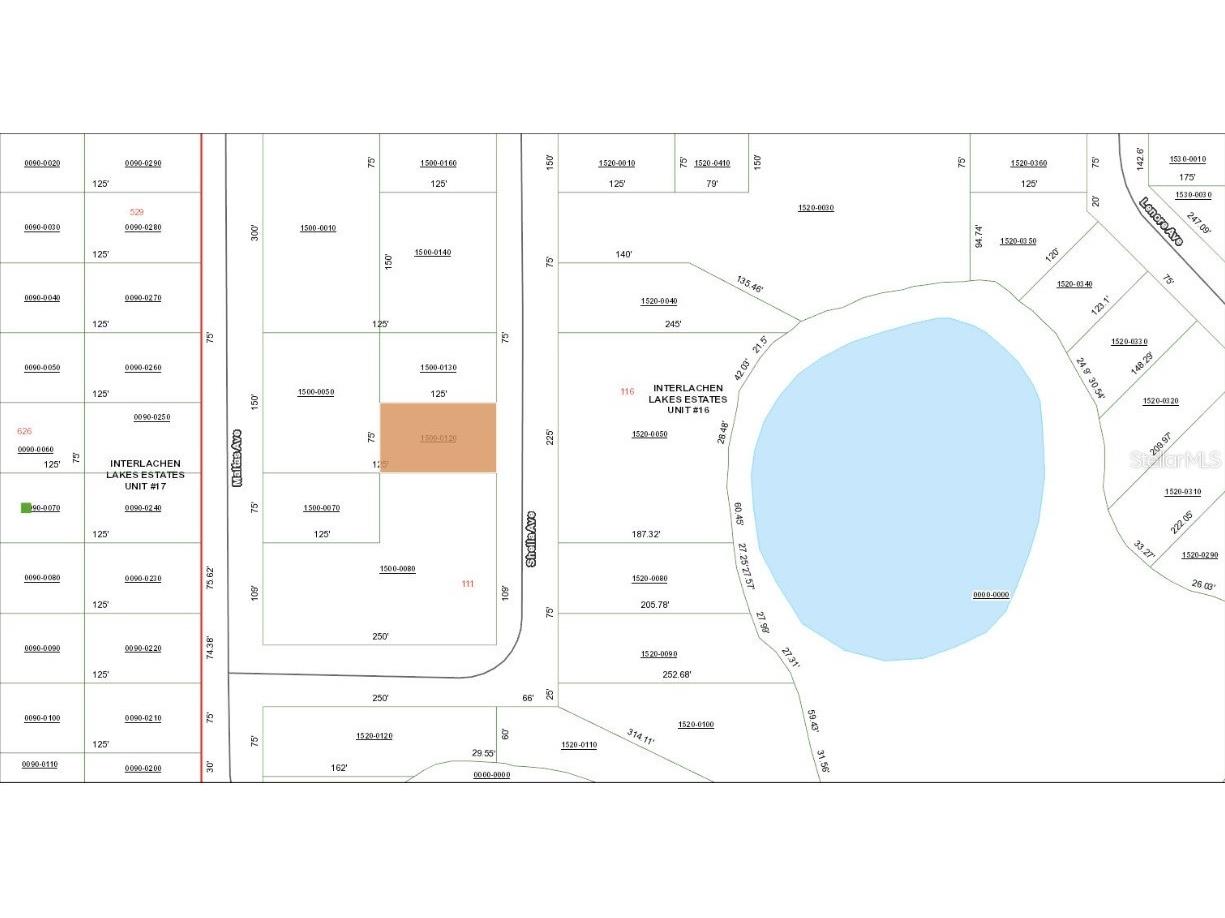 TBD Sheila Avenue Interlachen FL 32148 OM720674 image2