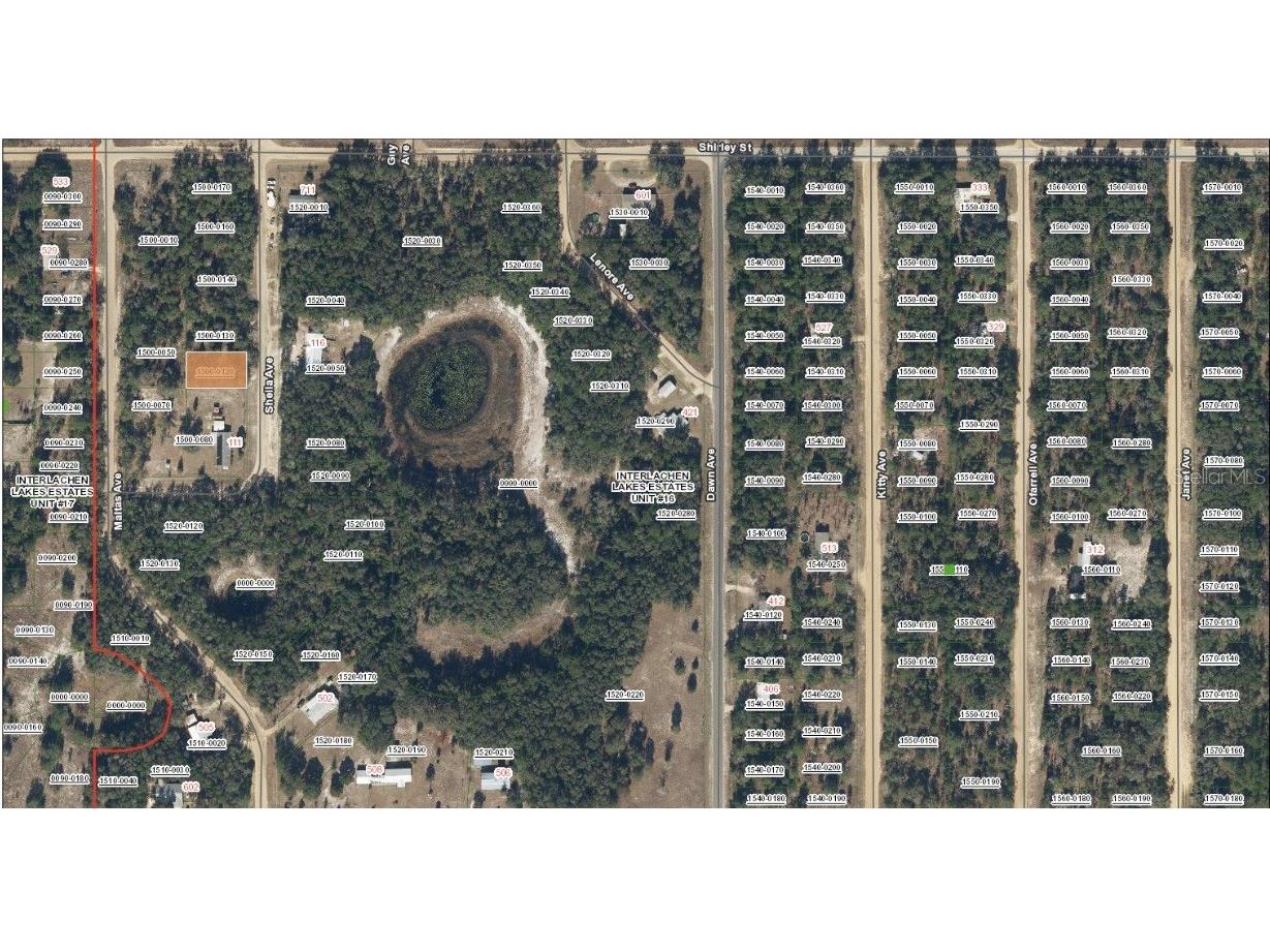 TBD Sheila Avenue Interlachen FL 32148 OM720674 image3