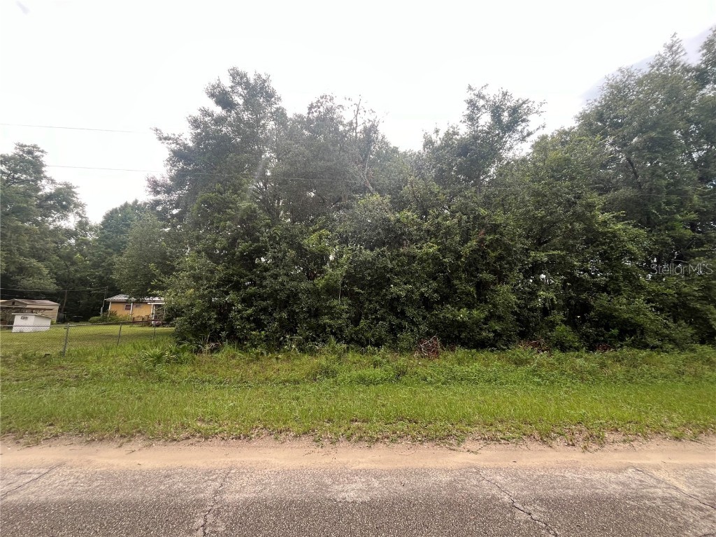 TBD Sioux Avenue Interlachen FL 32148 OK224366 image1