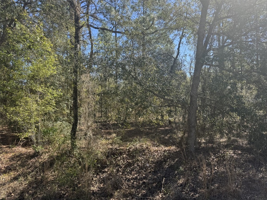 TBD Smallwood Road Dunnellon FL 34431 OM699910 image1