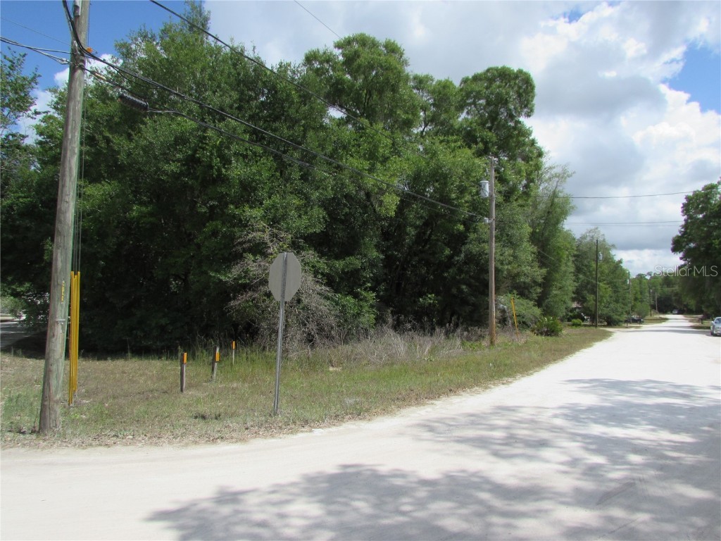 TBD St Benedict Drive Dunnellon FL 34432 OM657011 image1