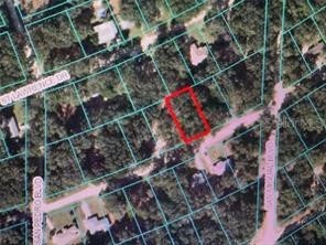 TBD St Benedict Drive Lot 112 Drive Dunnellon FL 34432 OM662119 image1