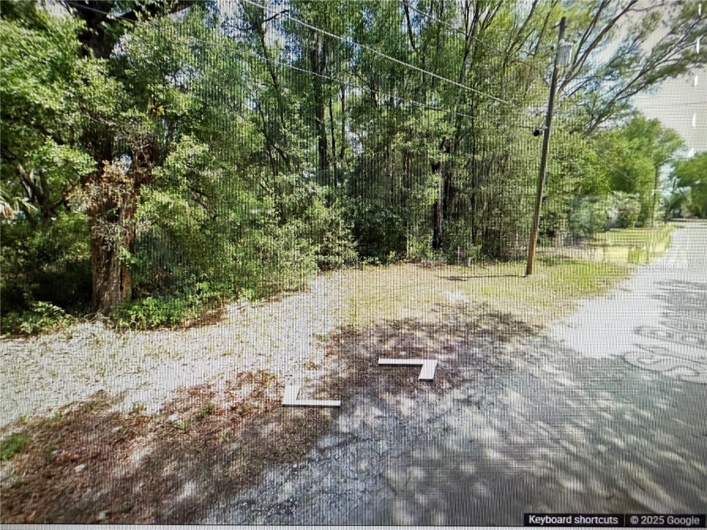 TBD St Benedict Drive Lot 113 Drive Dunnellon FL 34432 OM708625 image1