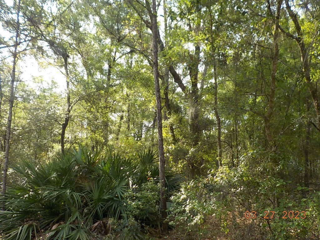 TBD St Bennedict Court Dunnellon FL 34432 OM655432 image1