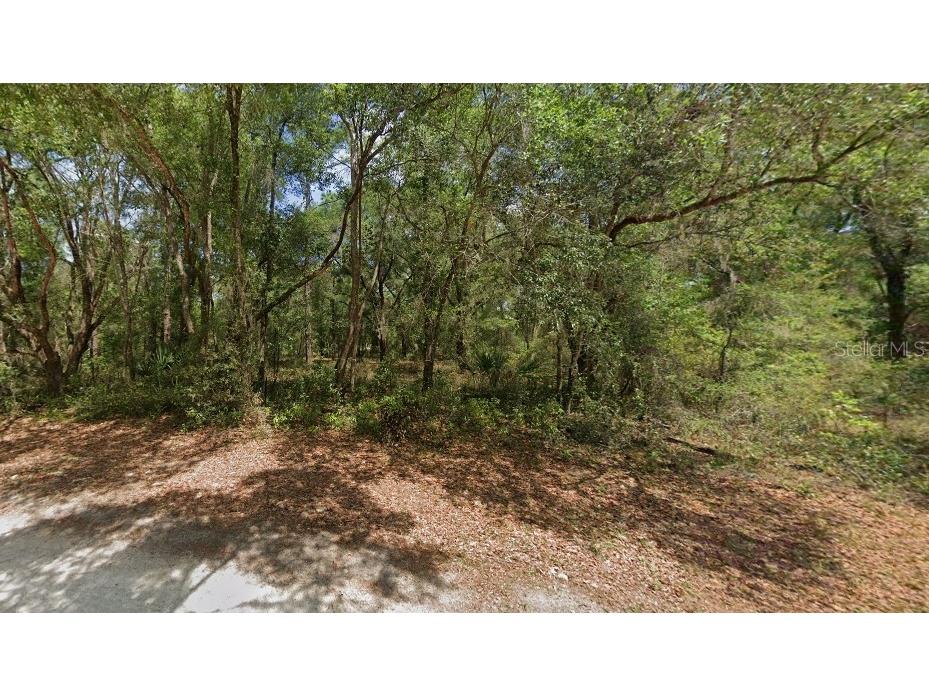 TBD St George Drive Dunnellon FL 34432 OM693559 image1