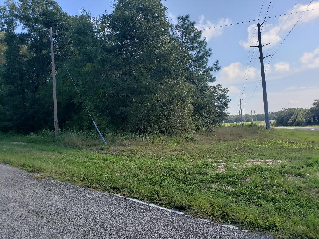 TBD State Road 20 Hawthorne FL 32640 OM718224 image5