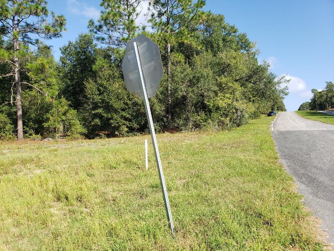 TBD State Road 20 Hawthorne FL 32640 OM718224 image7