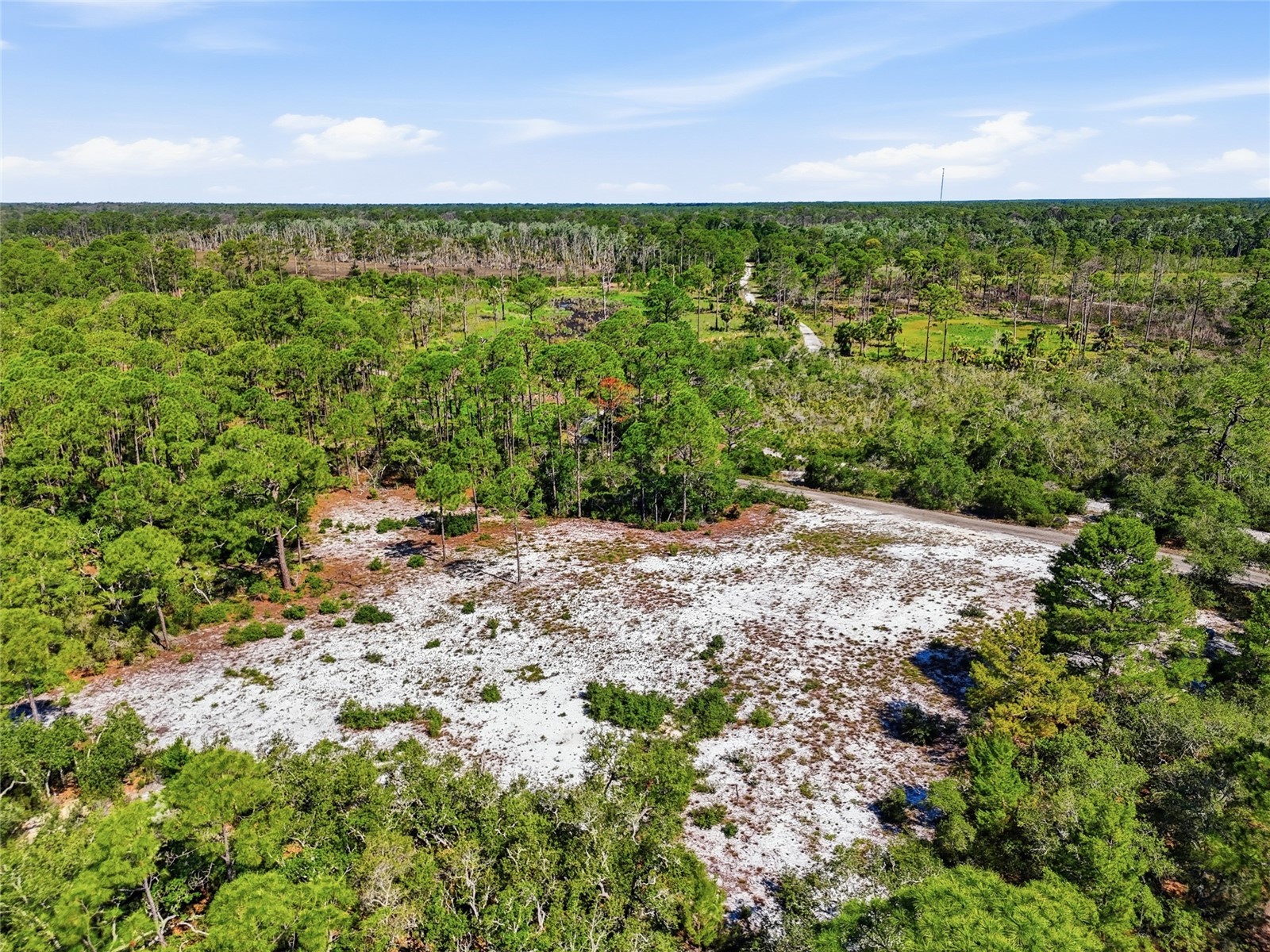 TBD State Road 24 Cedar Key FL 32625 GC540568 image11