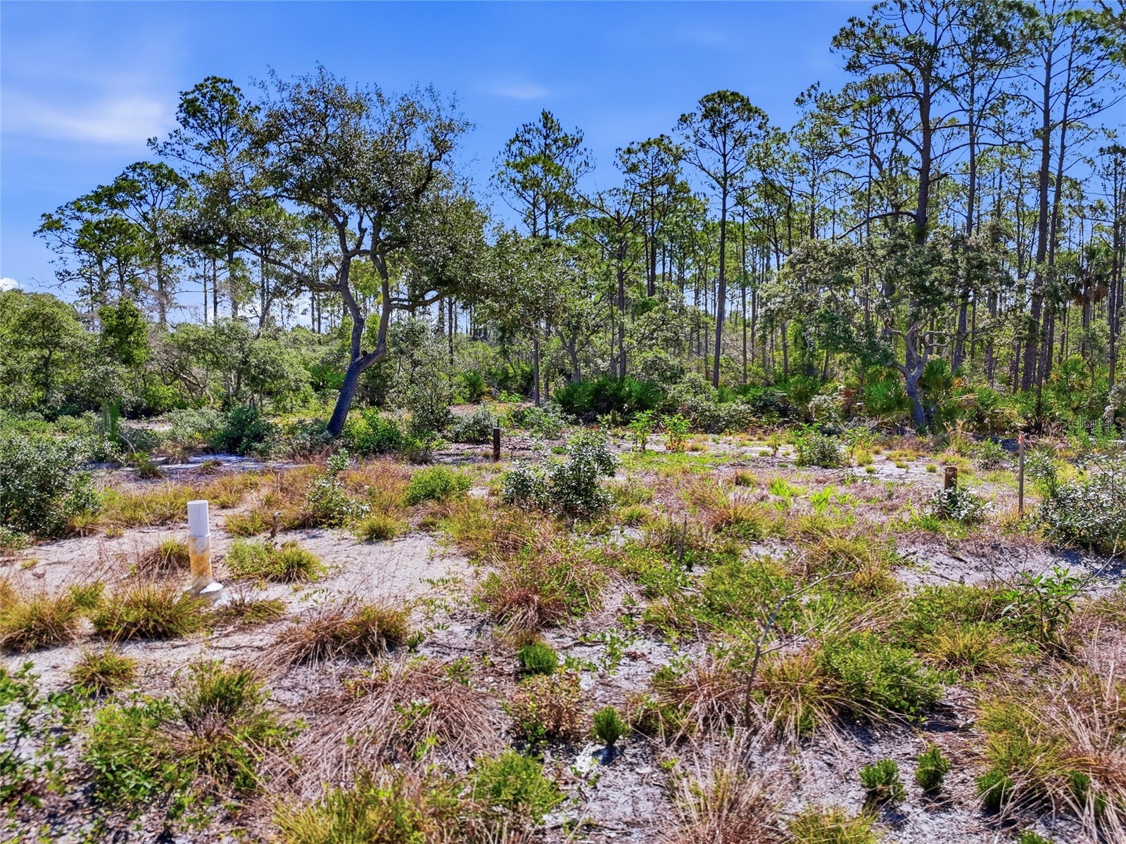 TBD State Road 24 Cedar Key FL 32625 GC540568 image12