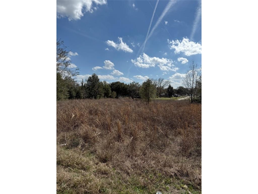 TBD SW 100th Lane Dunnellon FL 34432 OM694991 image1