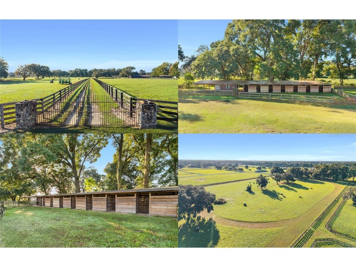 TBD SW 100th Street Ocala FL 34476 OM712248 image1