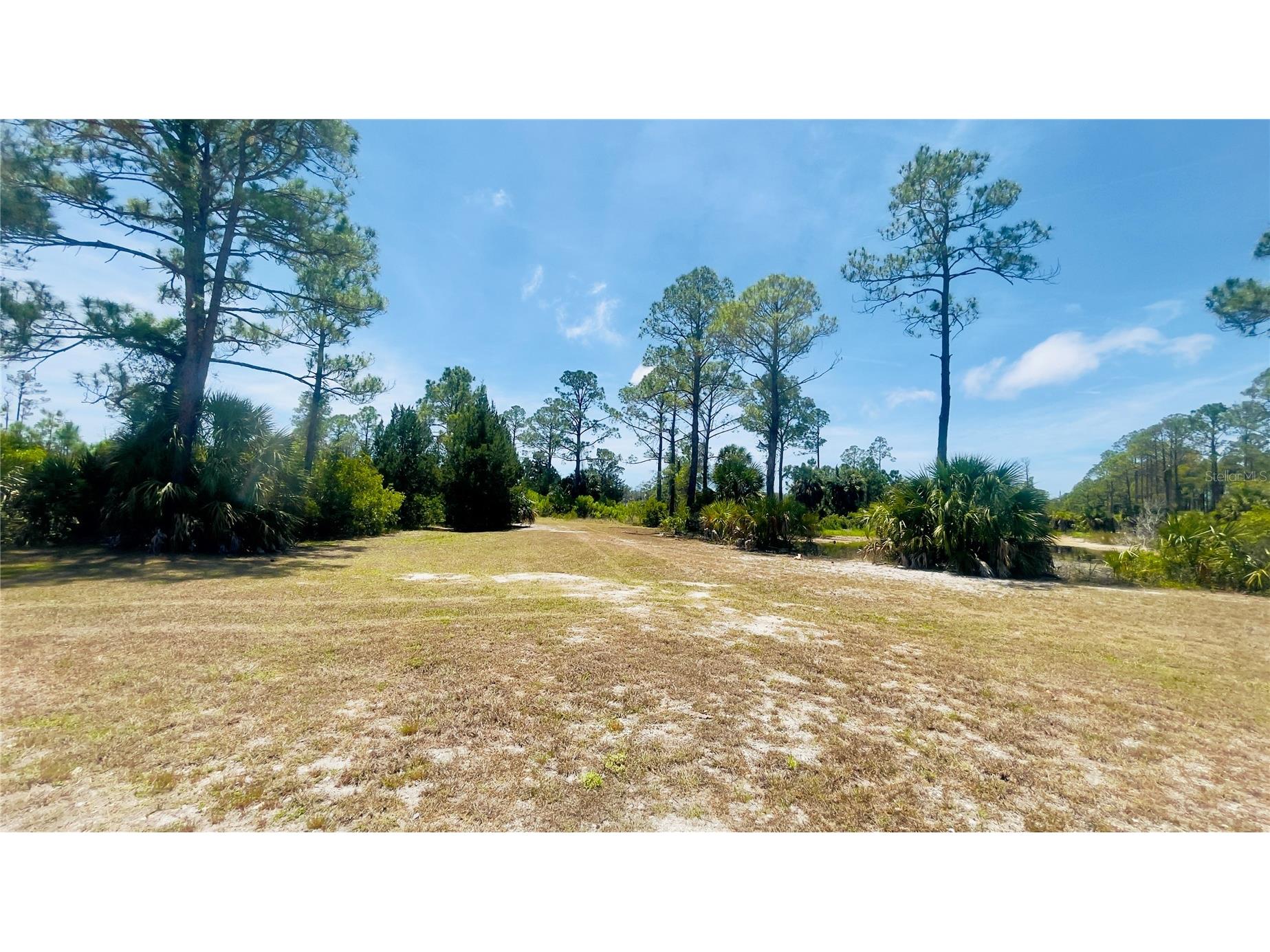 TBD SW 101st Ln Cedar Key FL 32625 GC540304 image1