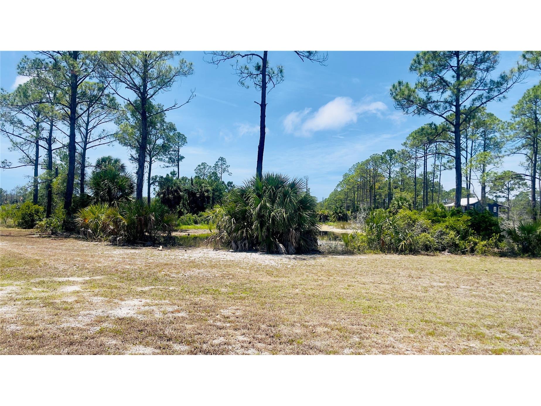 TBD SW 101st Ln Cedar Key FL 32625 GC540304 image11
