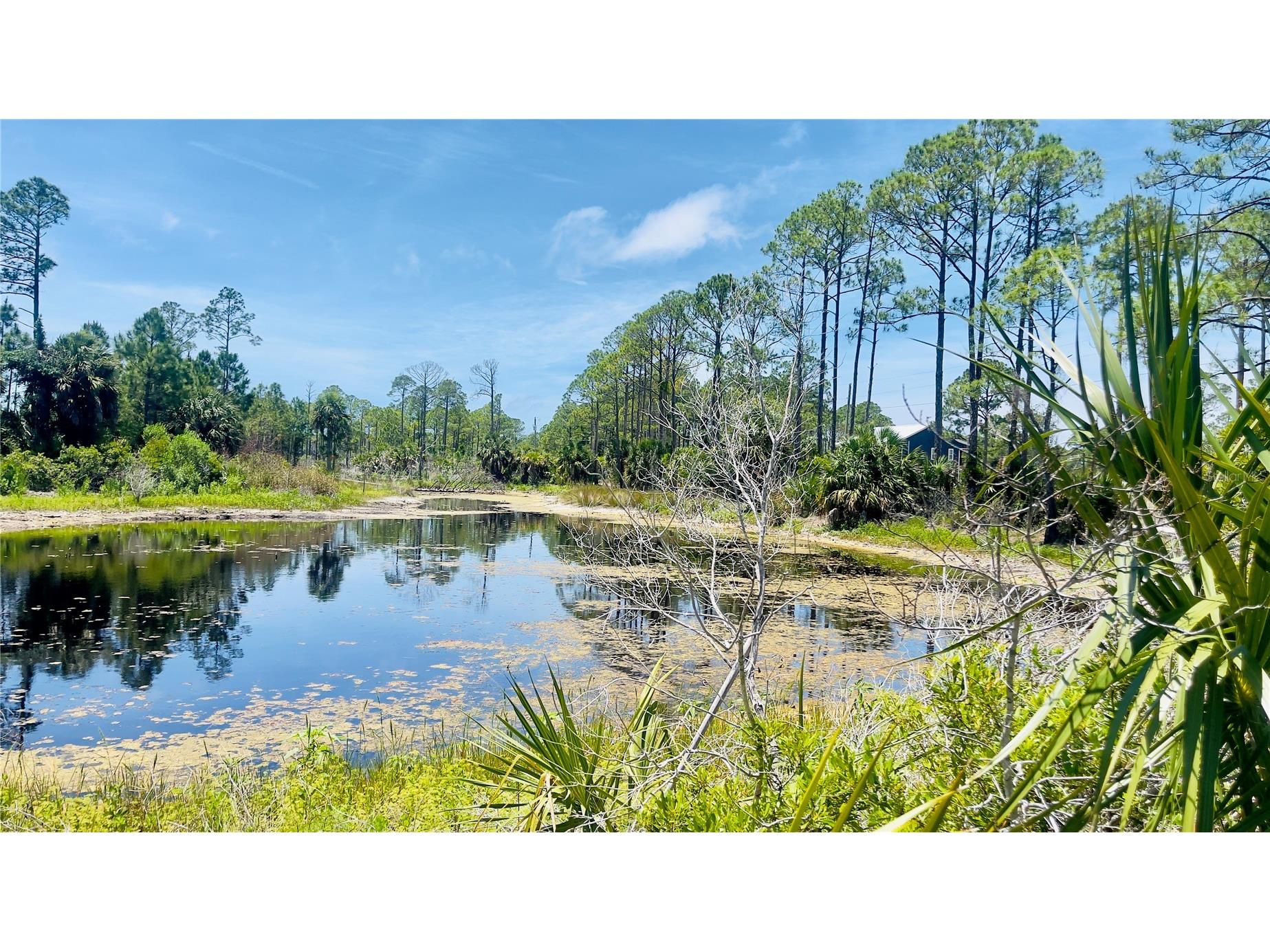 TBD SW 101st Ln Cedar Key FL 32625 GC540304 image2