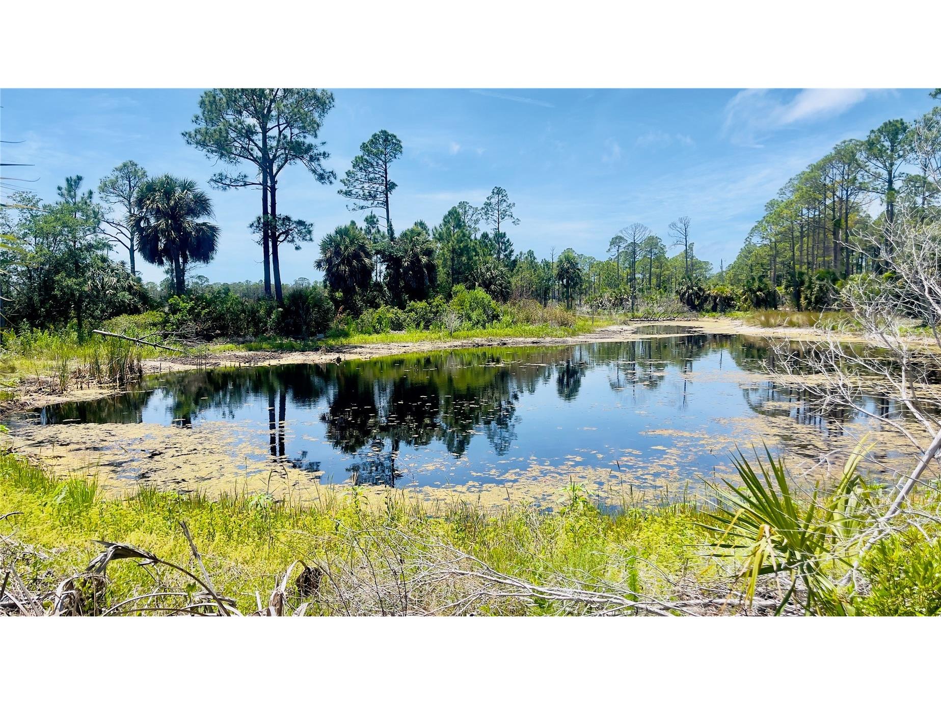 TBD SW 101st Ln Cedar Key FL 32625 GC540304 image3