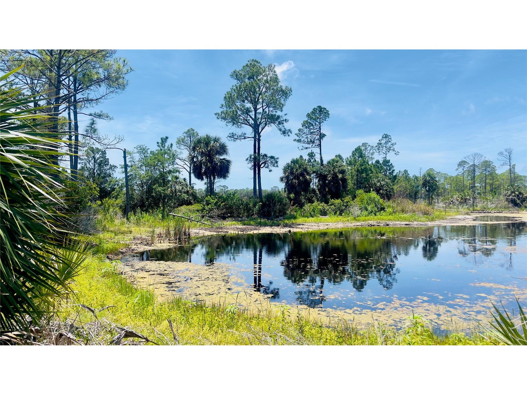 TBD SW 101st Ln Cedar Key FL 32625 GC540304 image4