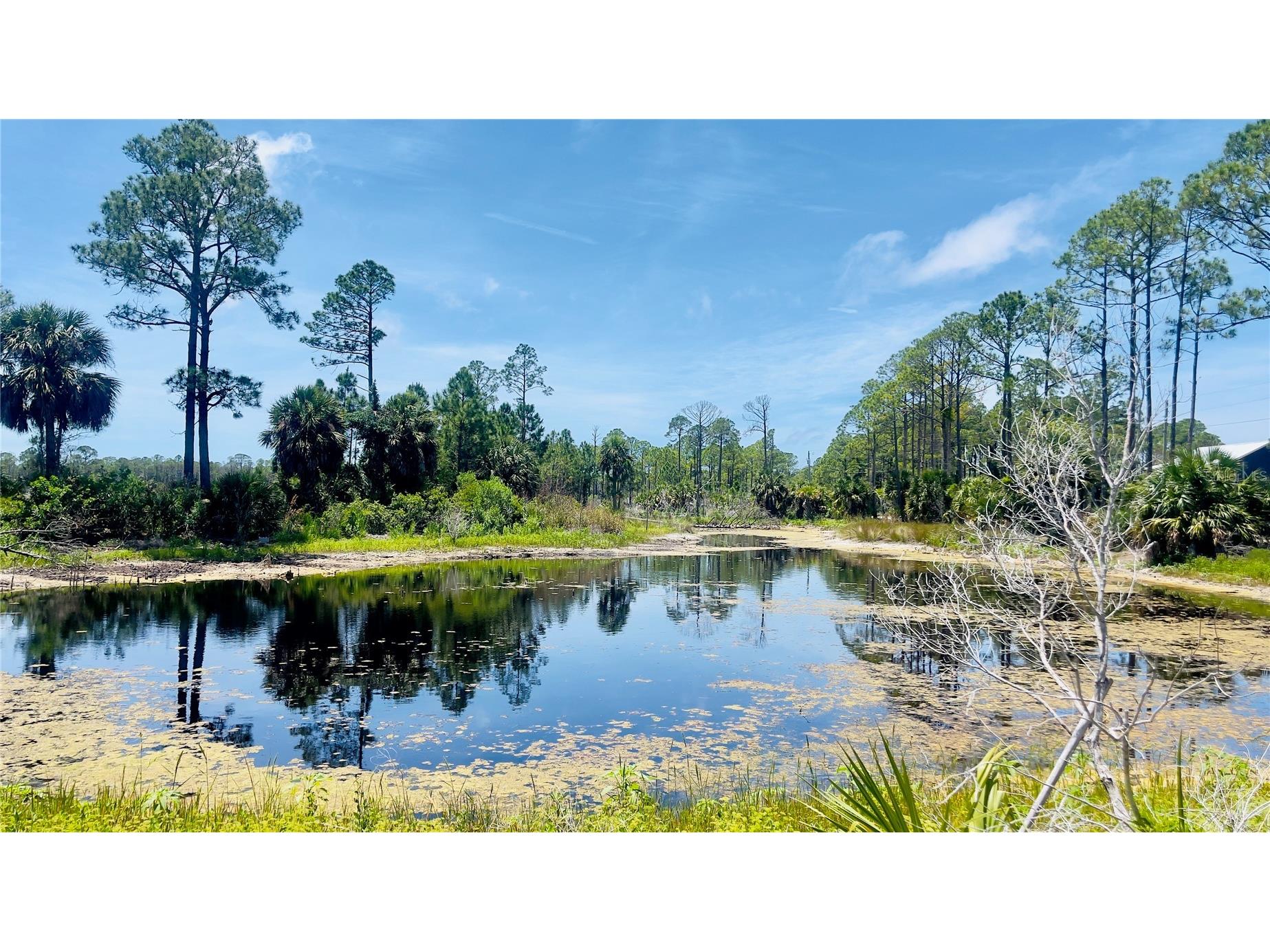 TBD SW 101st Ln Cedar Key FL 32625 GC540304 image5