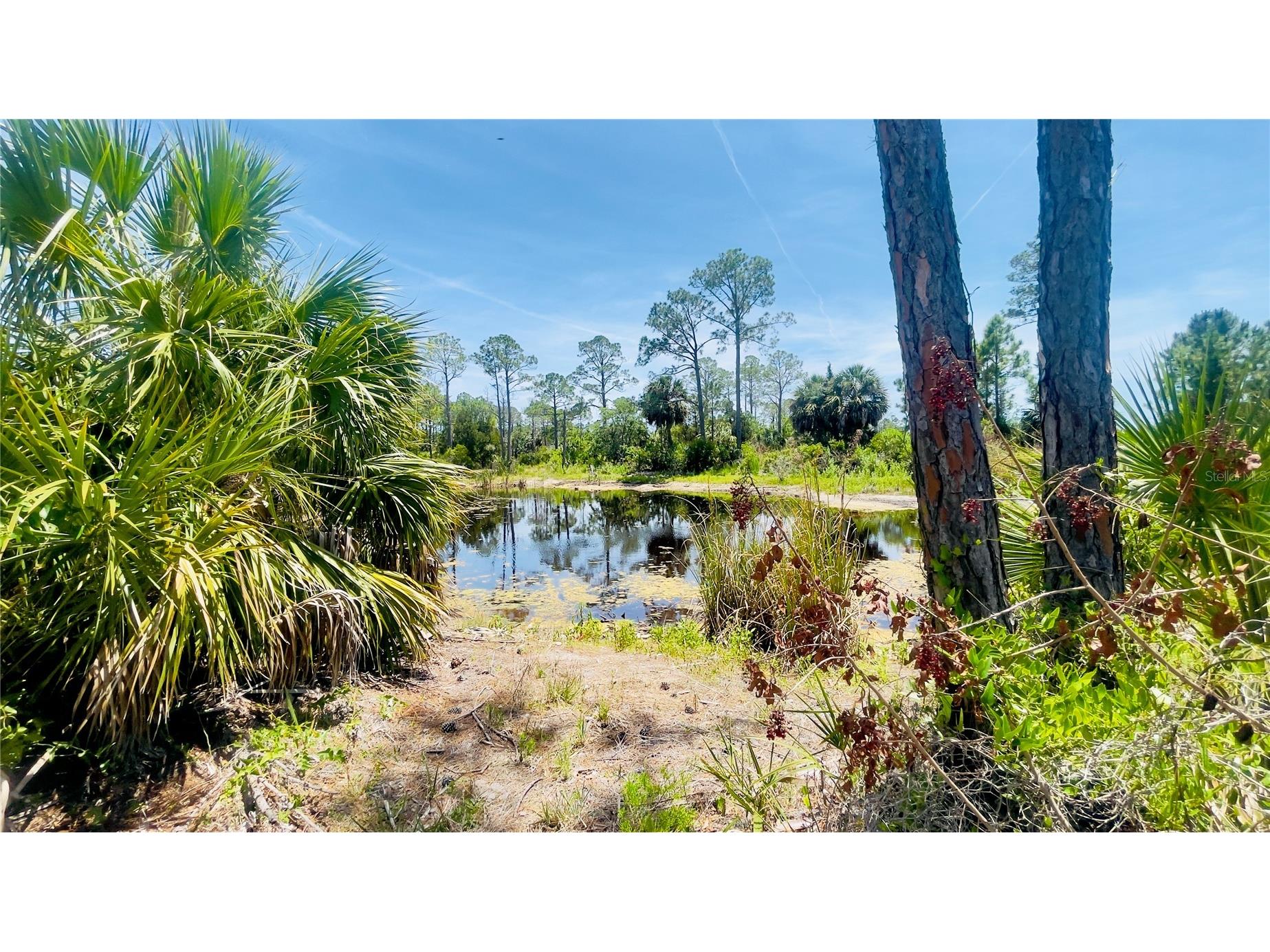 TBD SW 101st Ln Cedar Key FL 32625 GC540304 image6