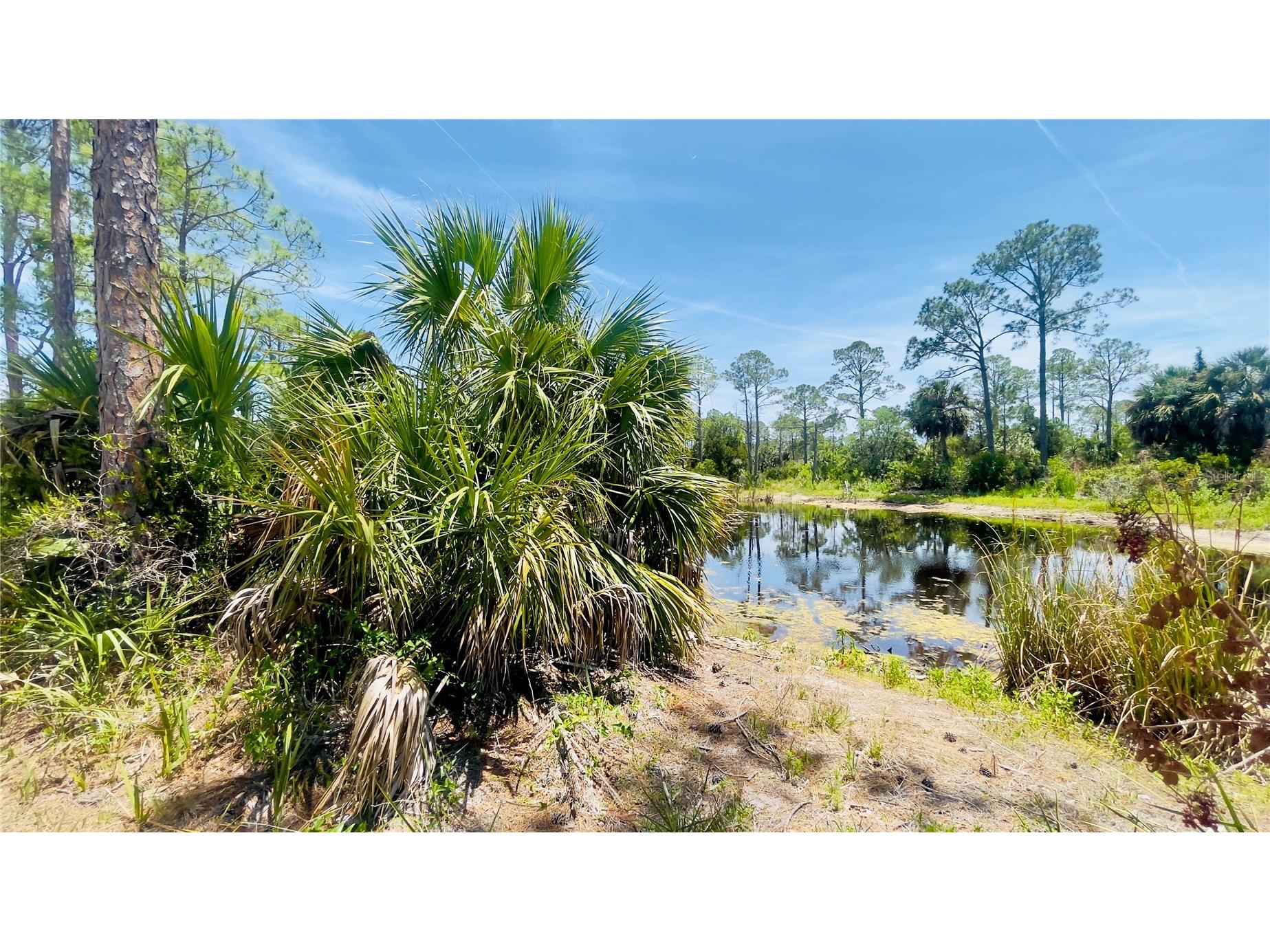 TBD SW 101st Ln Cedar Key FL 32625 GC540304 image7