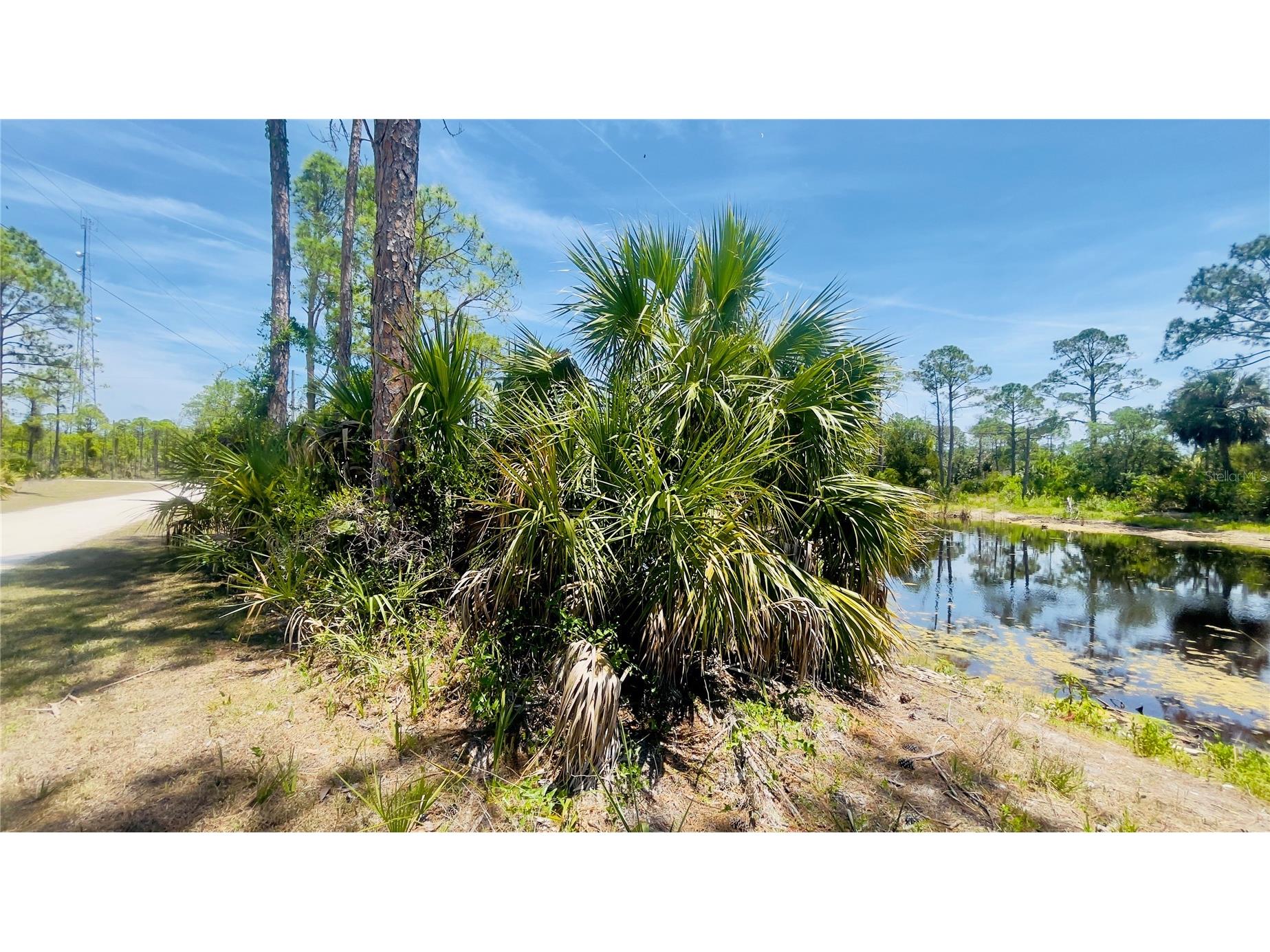 TBD SW 101st Ln Cedar Key FL 32625 GC540304 image8