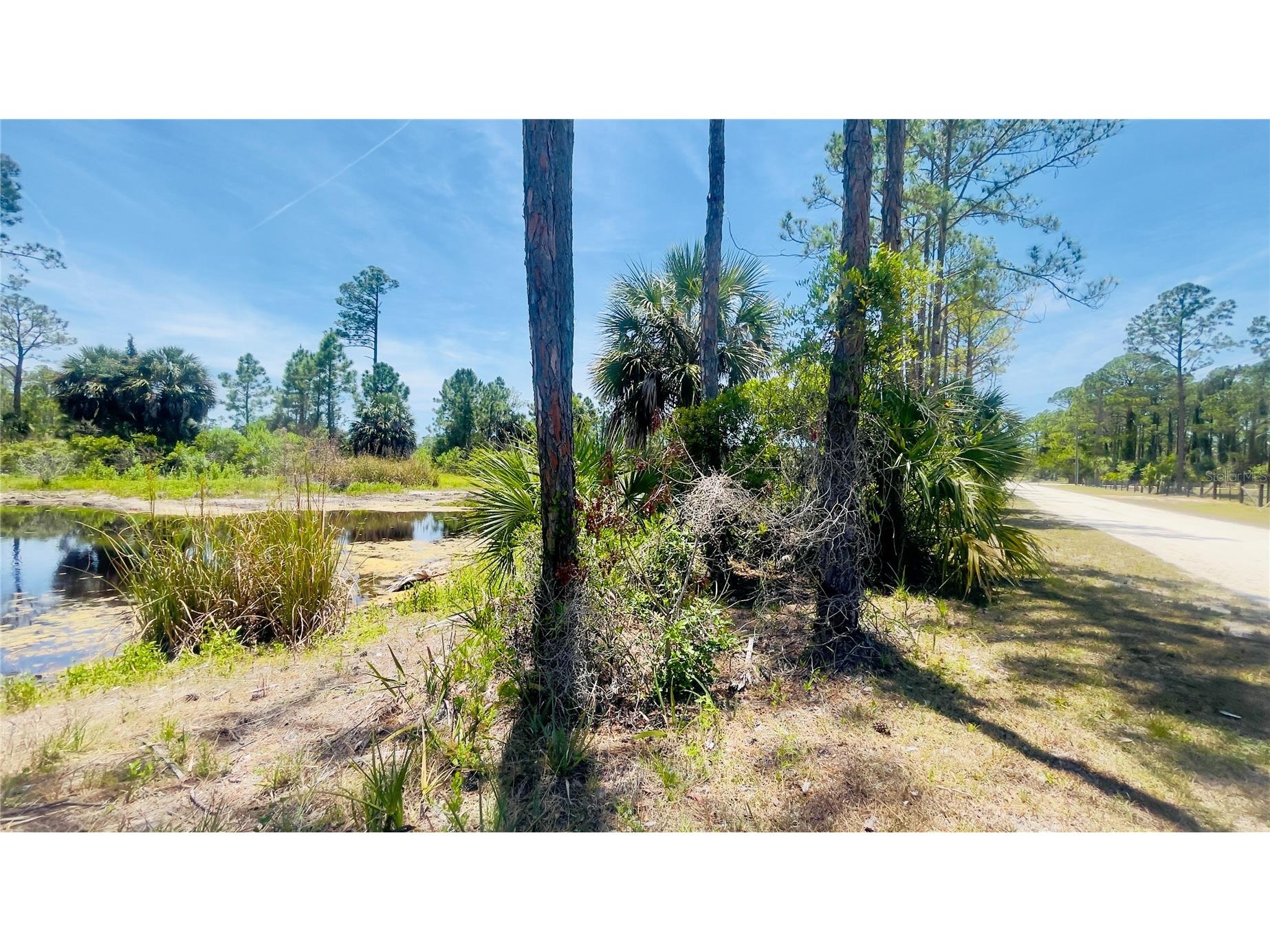 TBD SW 101st Ln Cedar Key FL 32625 GC540304 image9