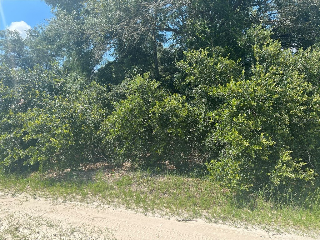 TBD Sw 103rd Place Dunnellon FL 34432 OM660238 image1