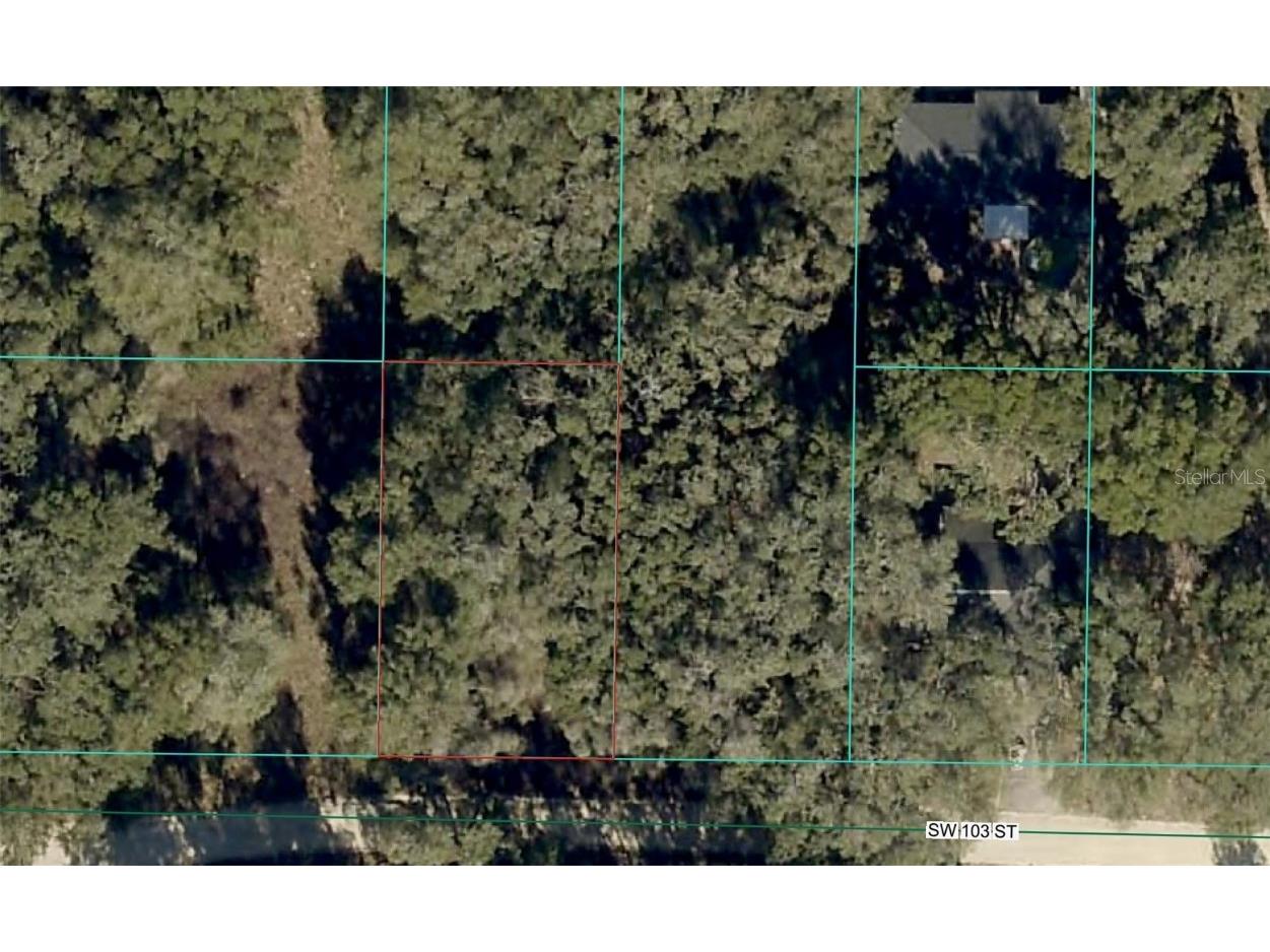 TBD SW 103rd Street Dunnellon FL 34432 OM713889 image1