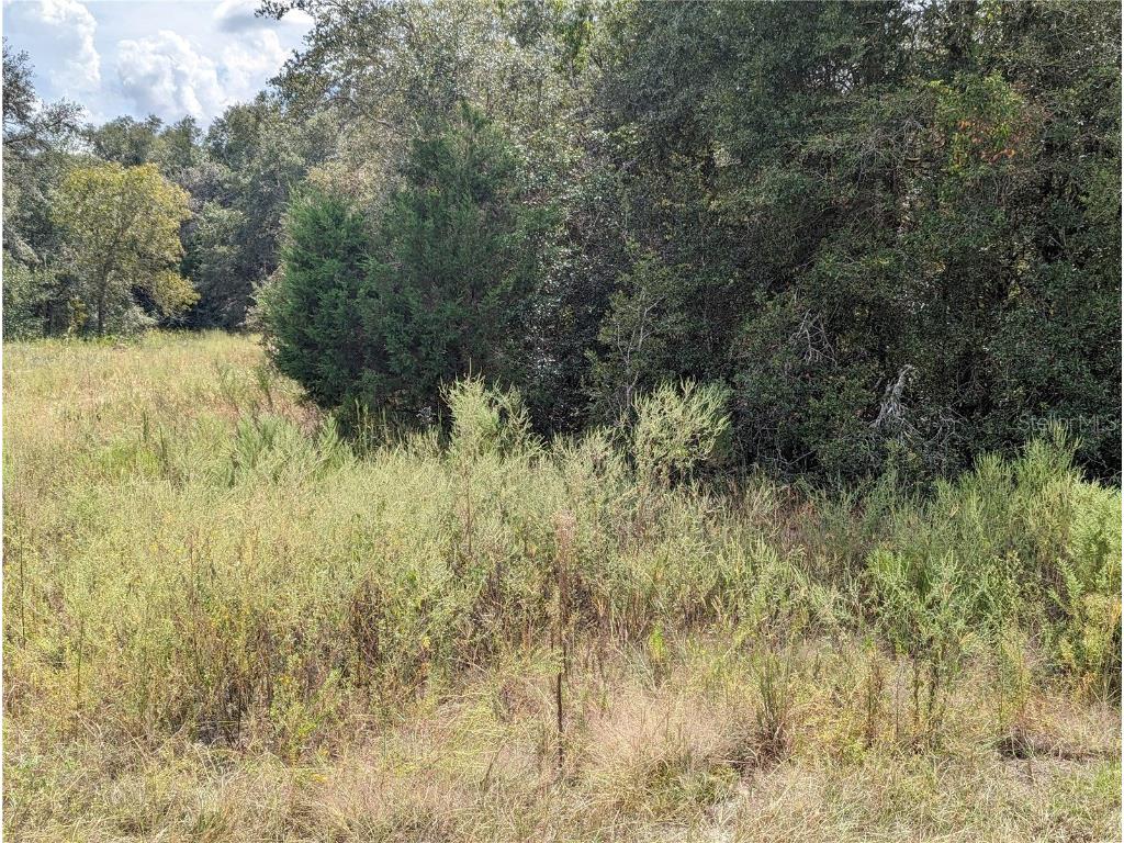 TBD SW 107 Place Dunnellon FL 34432 OM665972 image1