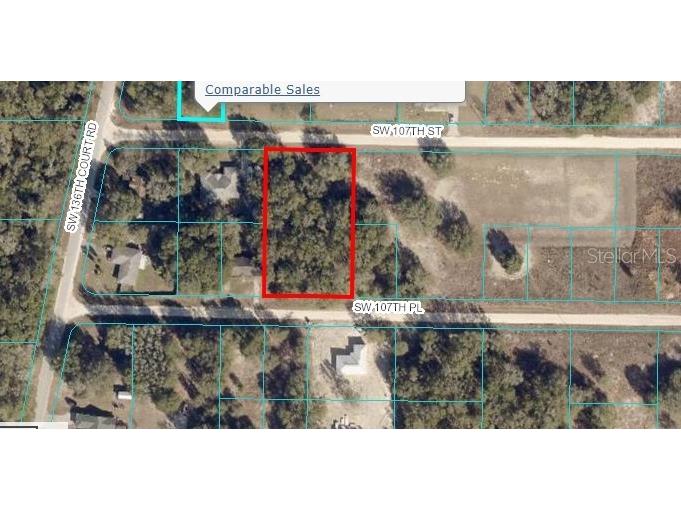 TBD SW 107th Place Dunnellon FL 34432 OM660656 image1