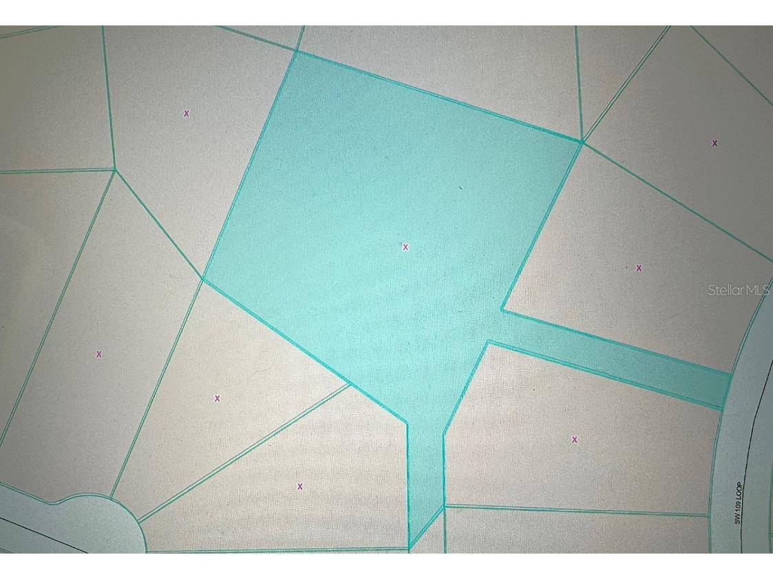 TBD SW 109 Loop Ocala FL 34476 OM707082 image11