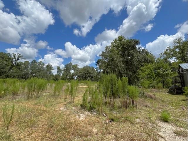 TBD SW 109 Loop Ocala FL 34476 OM707082 image6