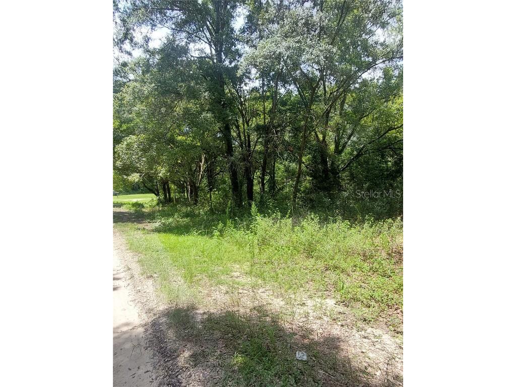 TBD SW 110 Place #LOT 10 Dunnellon FL 34432 OM682607 image1